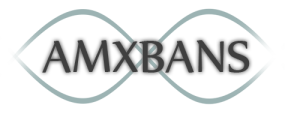 https://bans.chatoz.ru